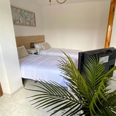 Guest house Hostal La Biela *